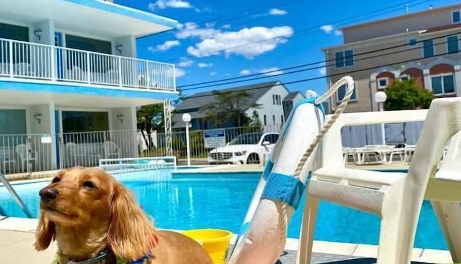 Pool - Isle of Capri Motel