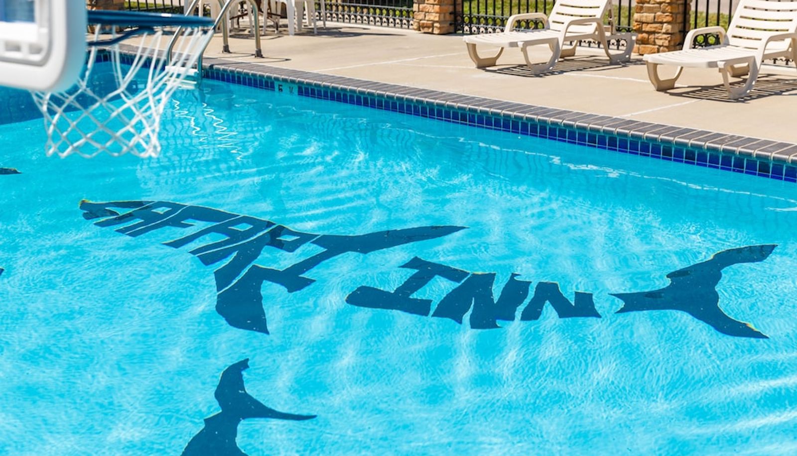 Pool - Safari Inn