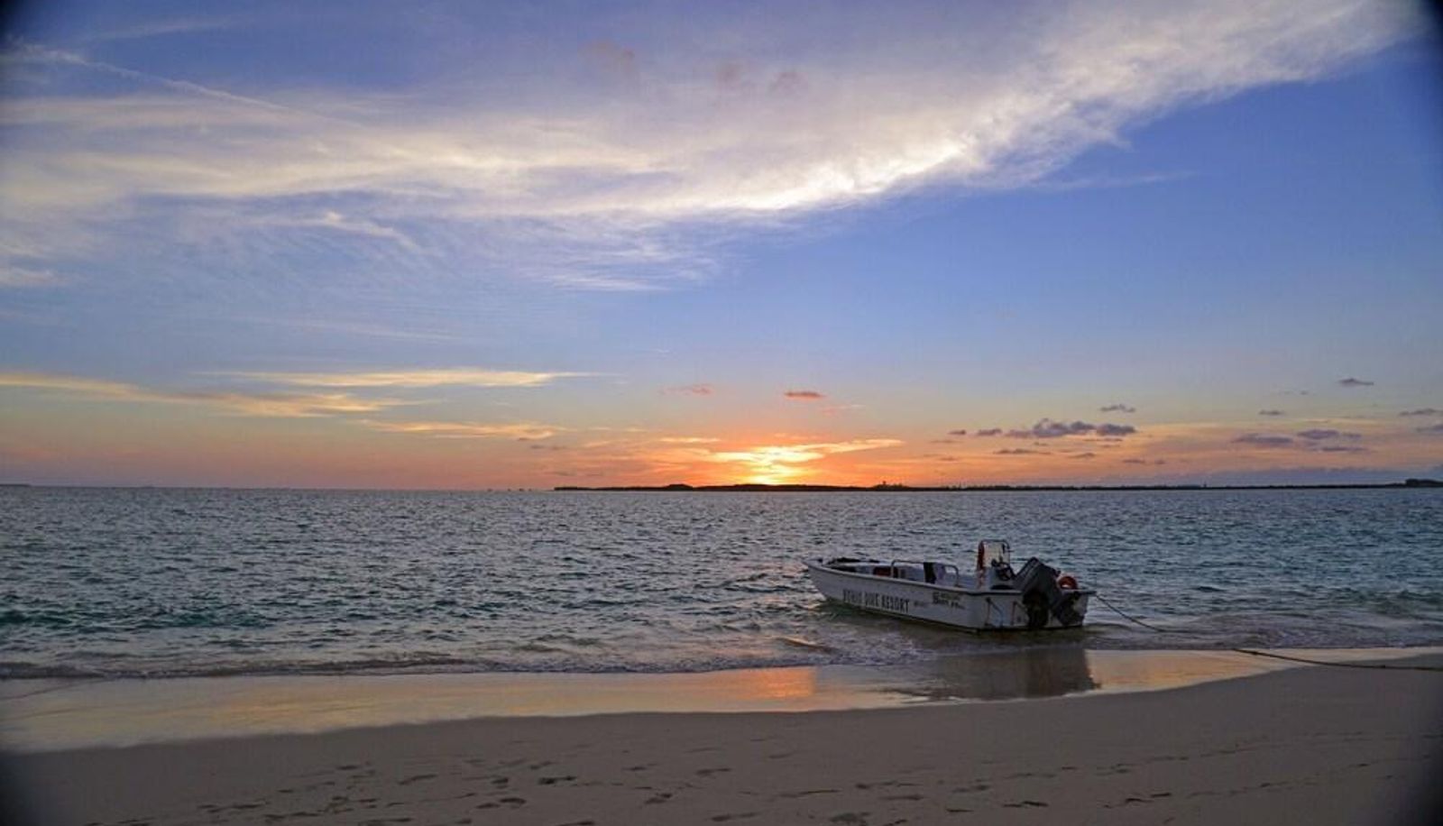 Beach - Bohio Dive Resort