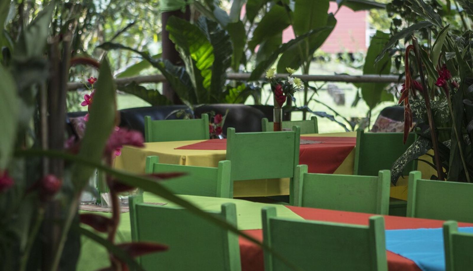Ristorante - Caribbean Paradise Eco-Lodge