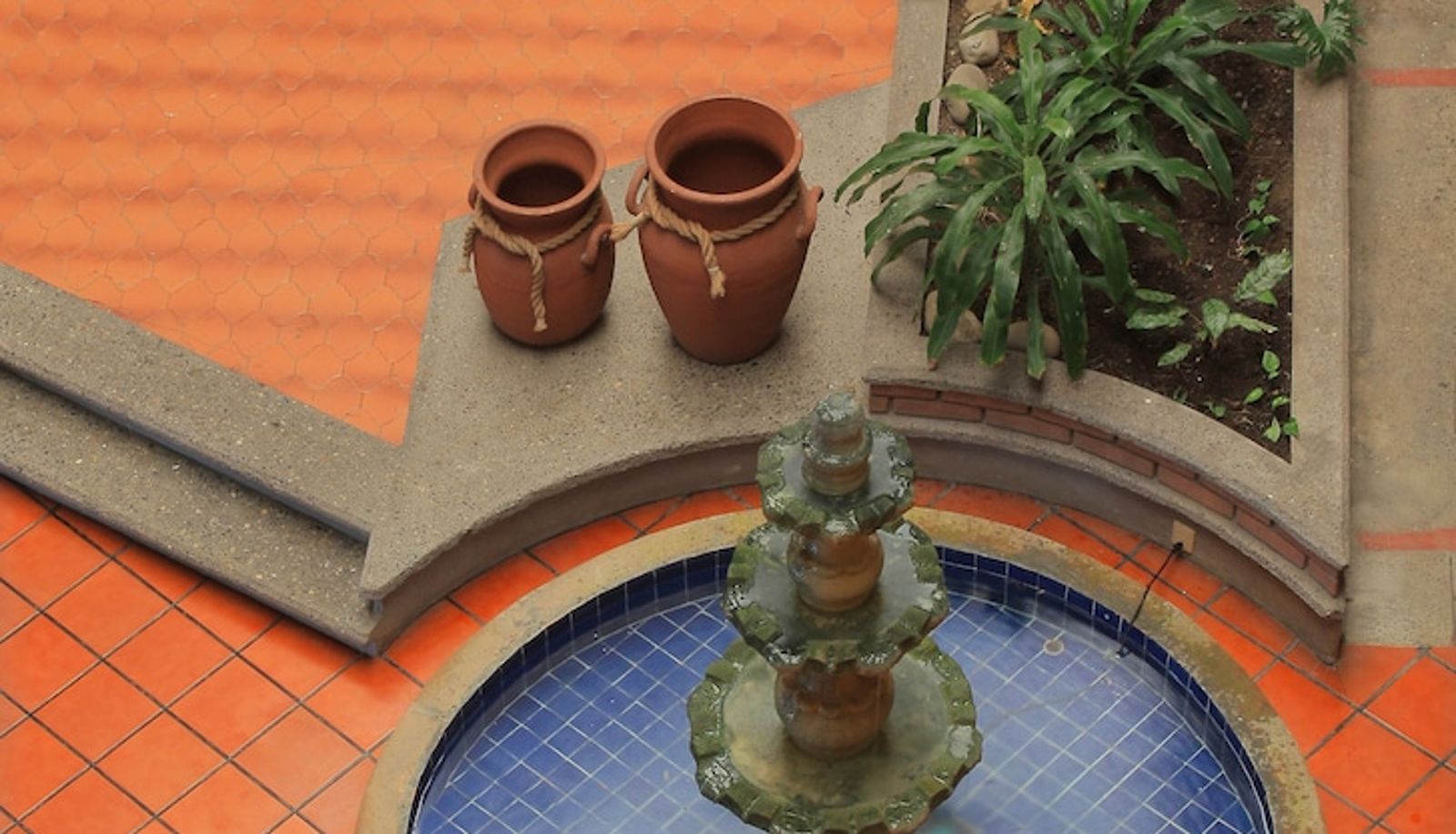 Jardín - Hotel Reforma