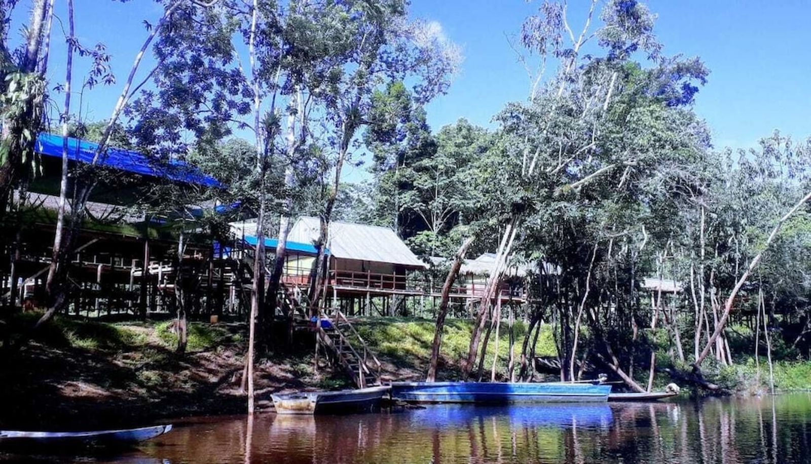 Salle de réunion - Jacamar Lodge Expeditions