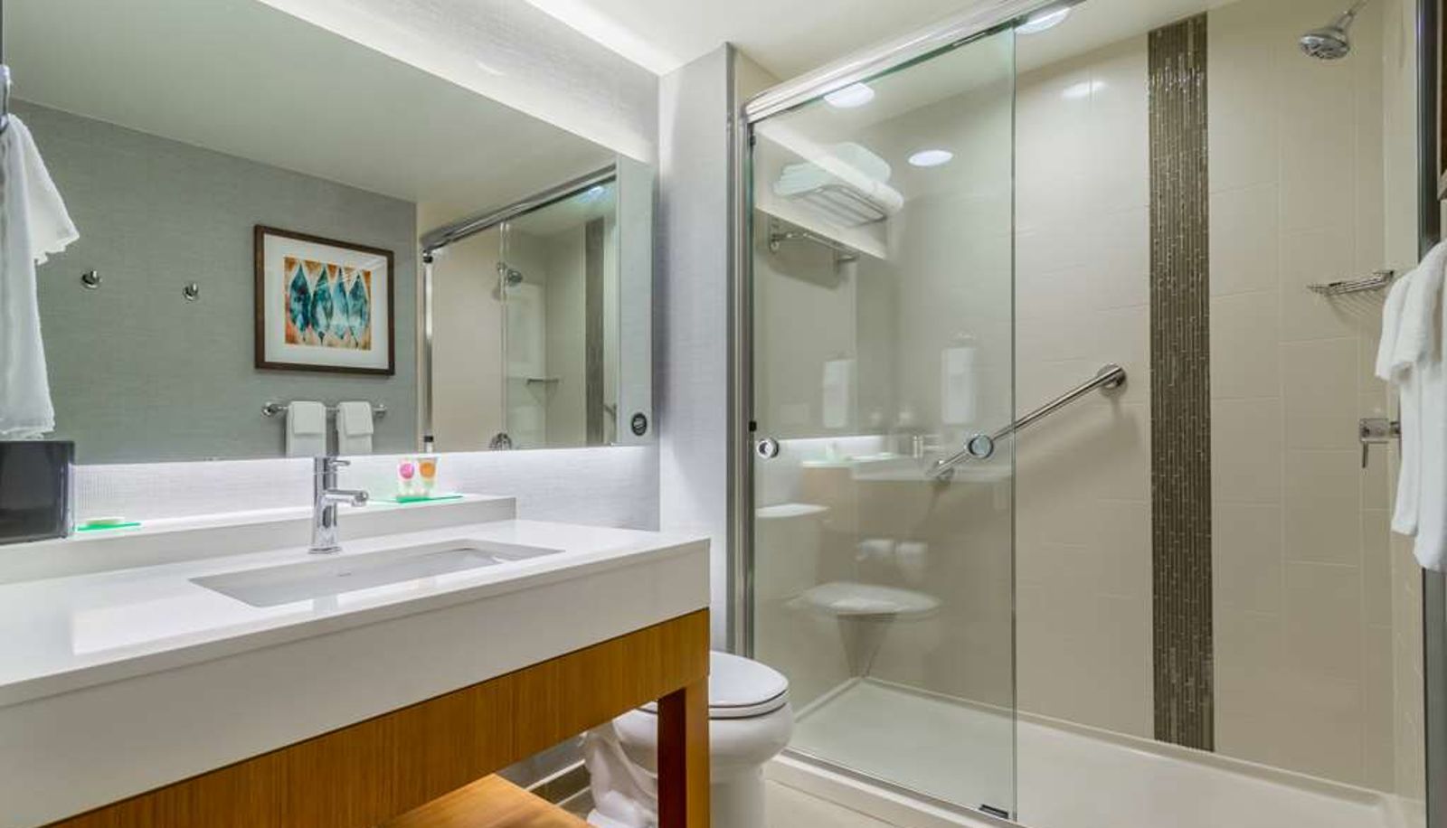 Zimmer - Hyatt Place Blacksburg/University