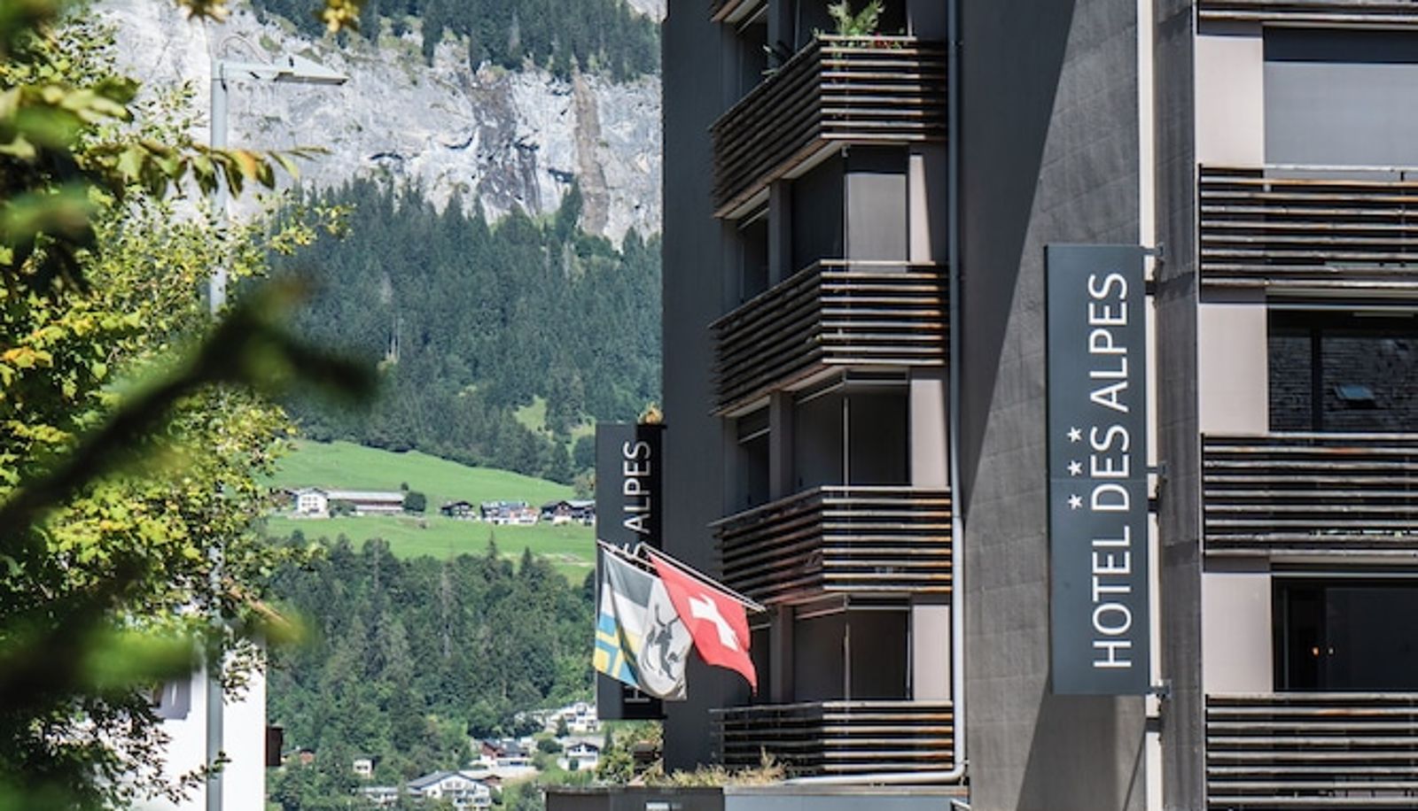 Info - Hotel des Alpes