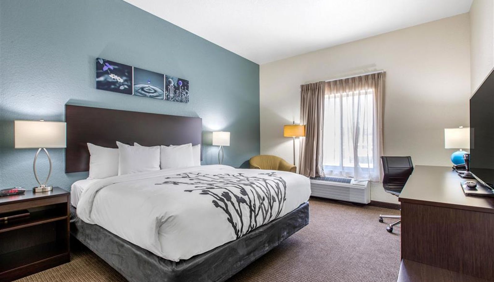 Zimmer - Sleep Inn & Suites Ankeny - Des Moines