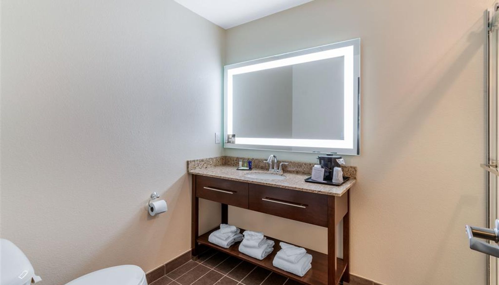 Zimmer - Sleep Inn & Suites Denver International Airport
