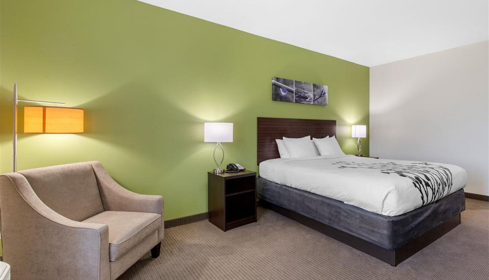 Kamer - Sleep Inn & Suites Galveston Island
