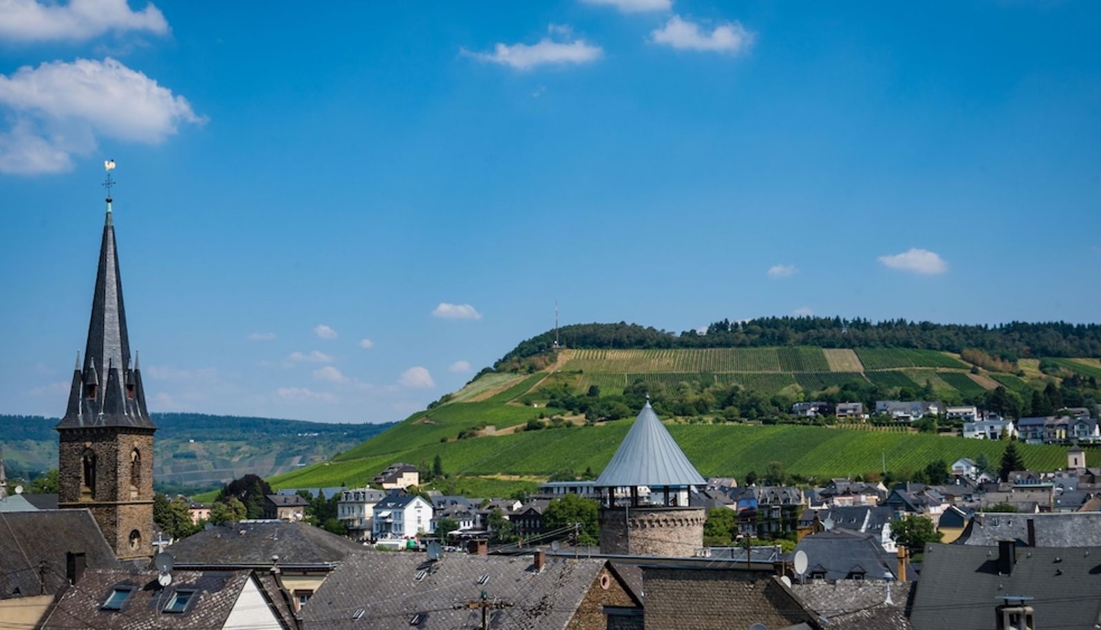 Info - Goldene Traube