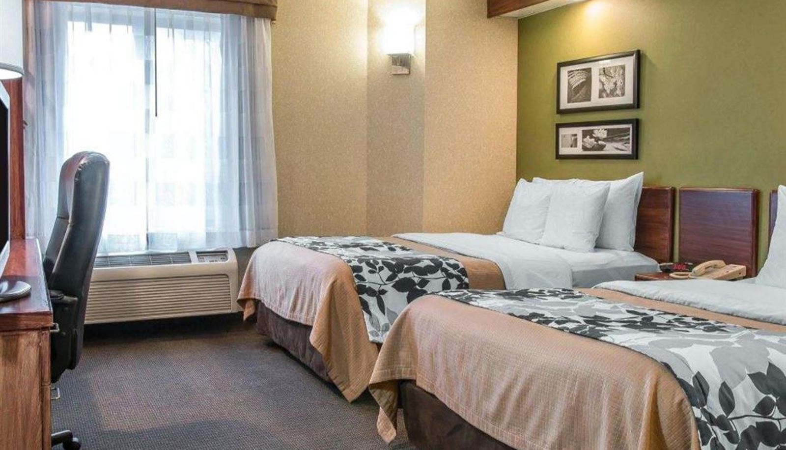 Chambre - Baymont by Wyndham Flat Rock