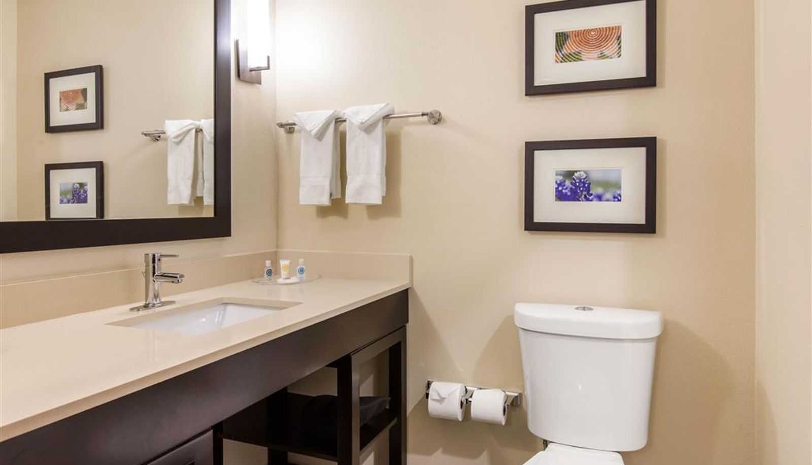 Zimmer - Comfort Suites - South Austin