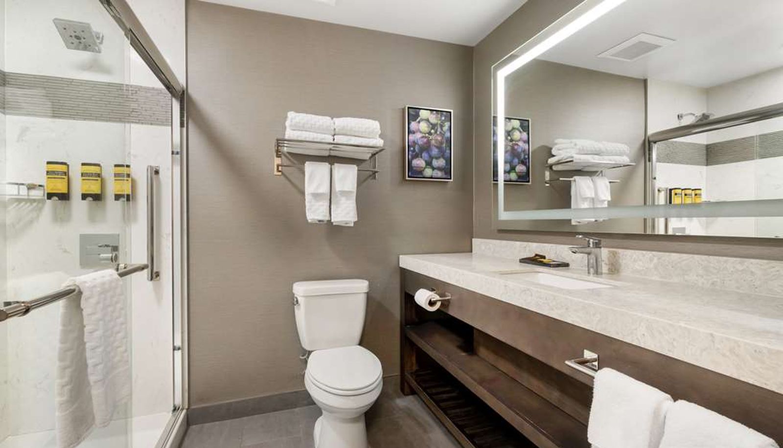 Room - Best Western Plus Temecula Wine Country Hotel & Suites