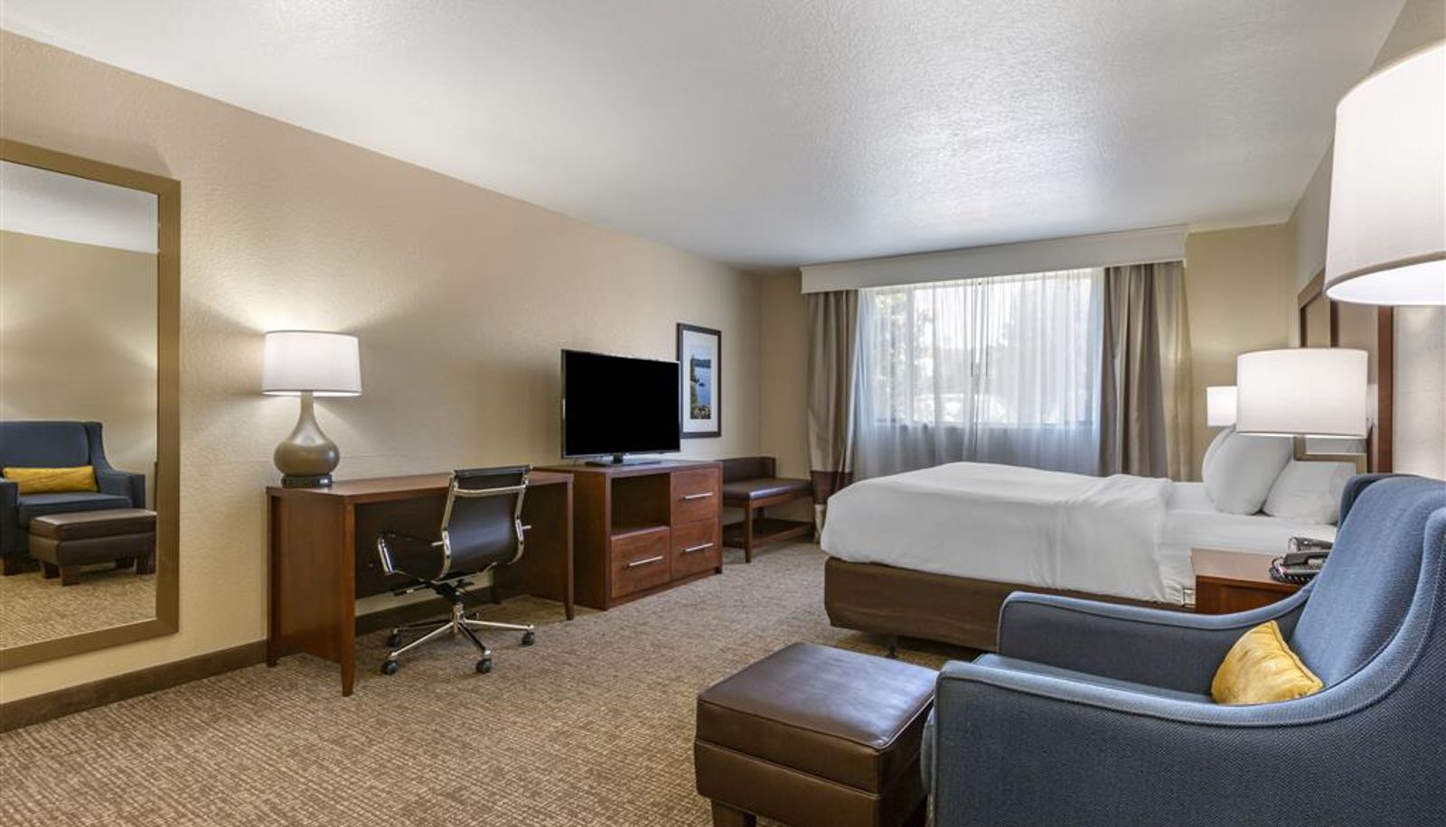 Zimmer - Comfort Inn & Suites Coeur d'Alene