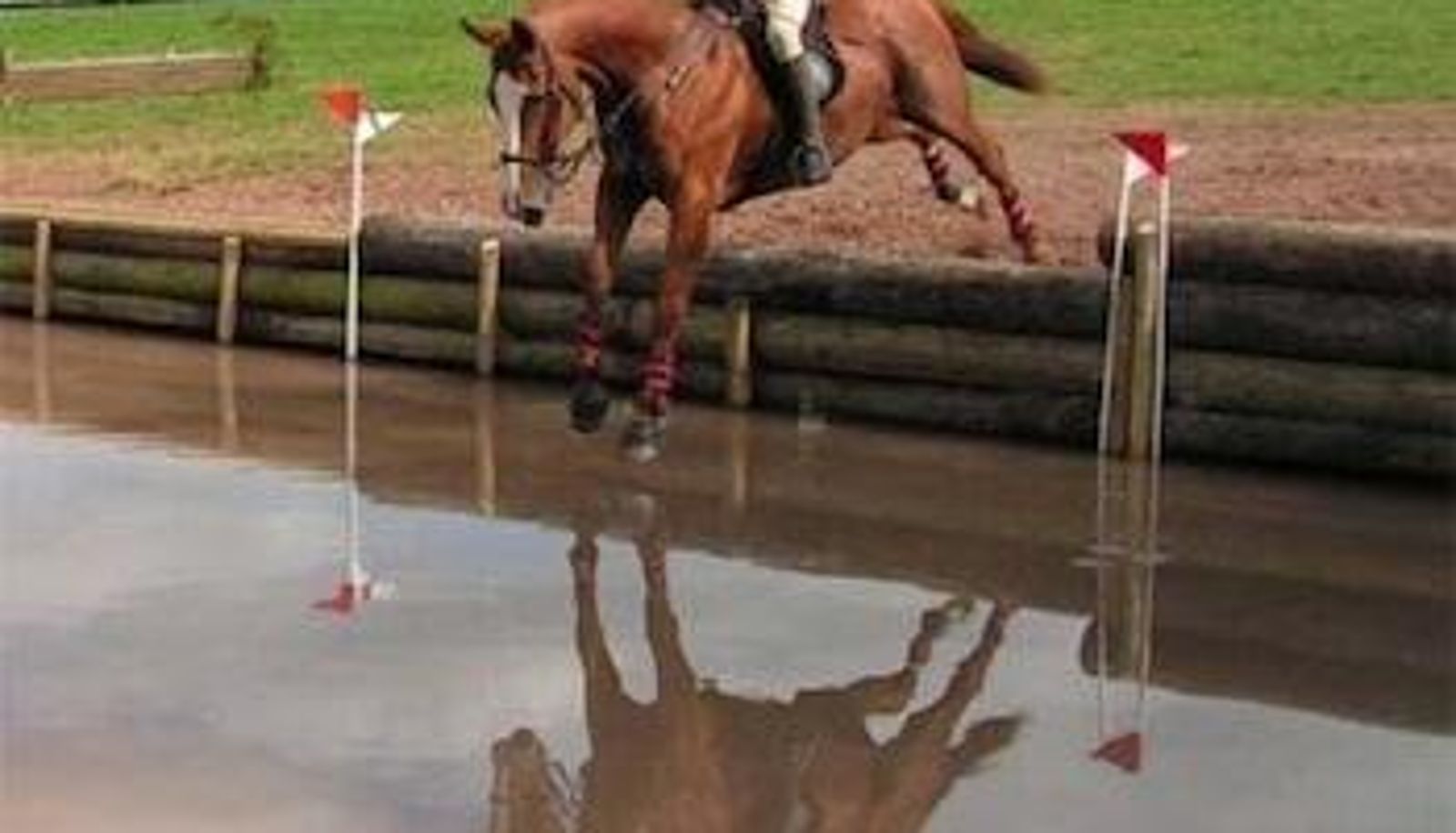 Sporteinrichtungen - Toomer Farm