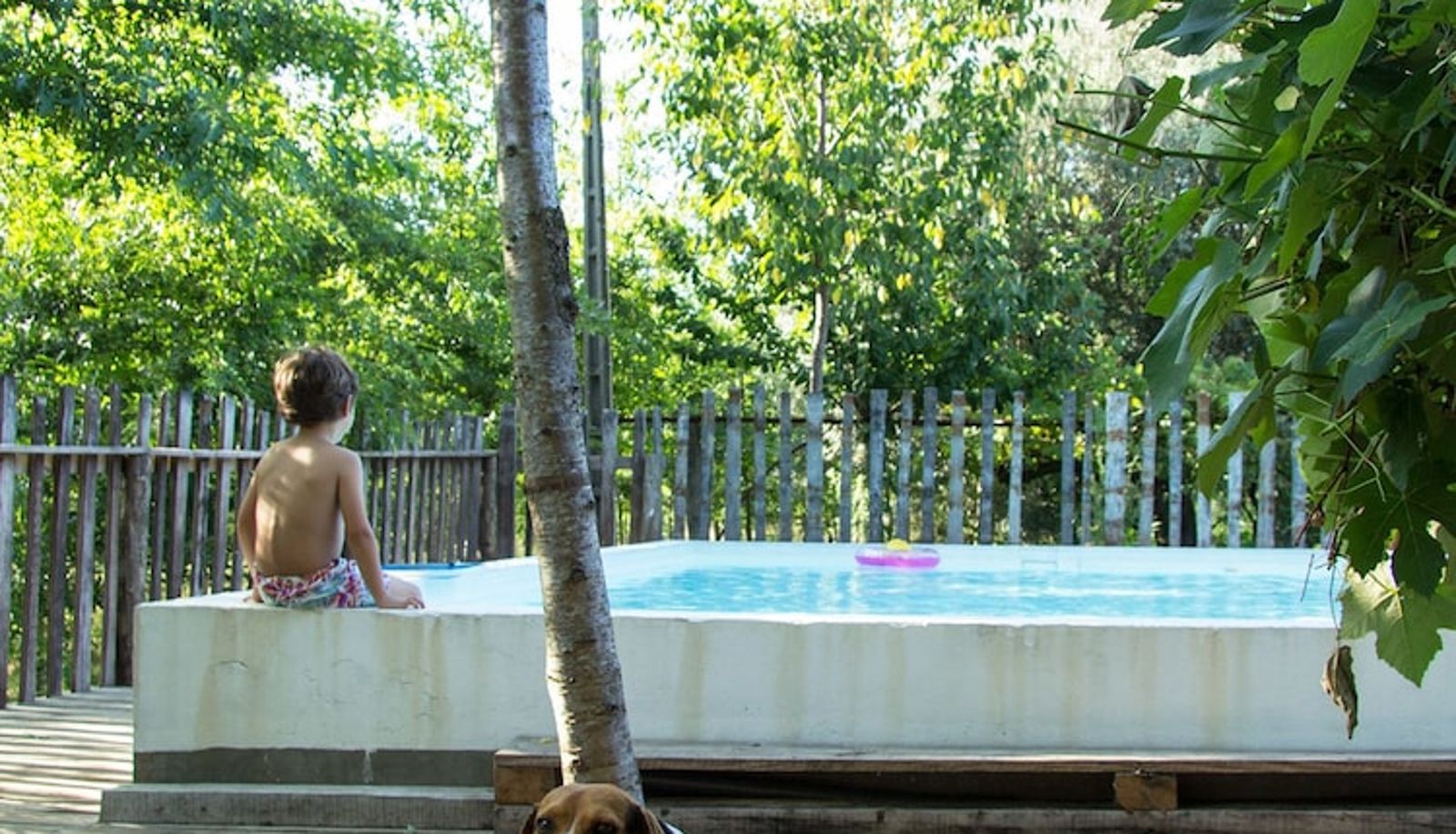 Piscine - Laranjalimao Guest House