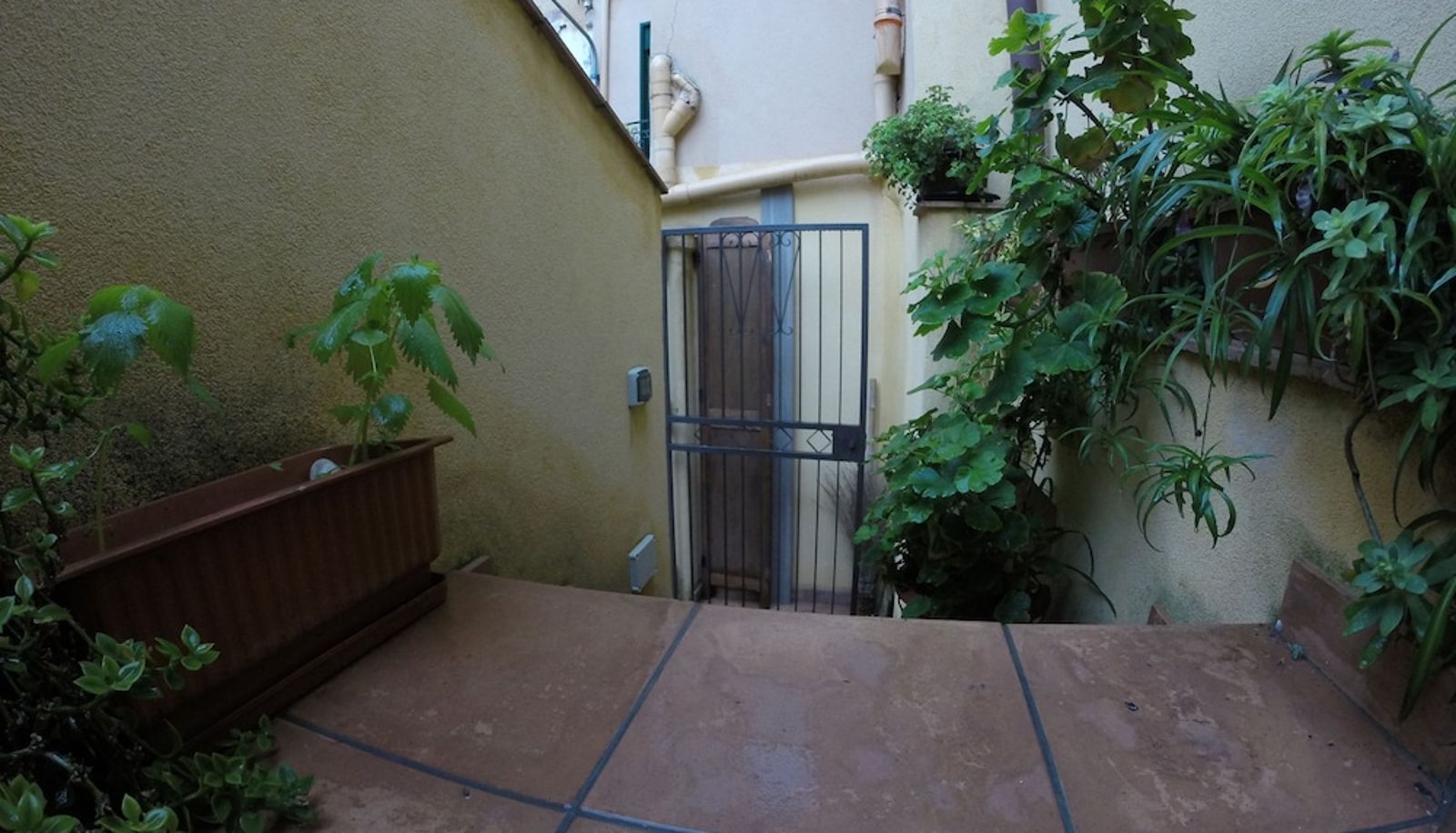 Terraza - B&B Le Scalette