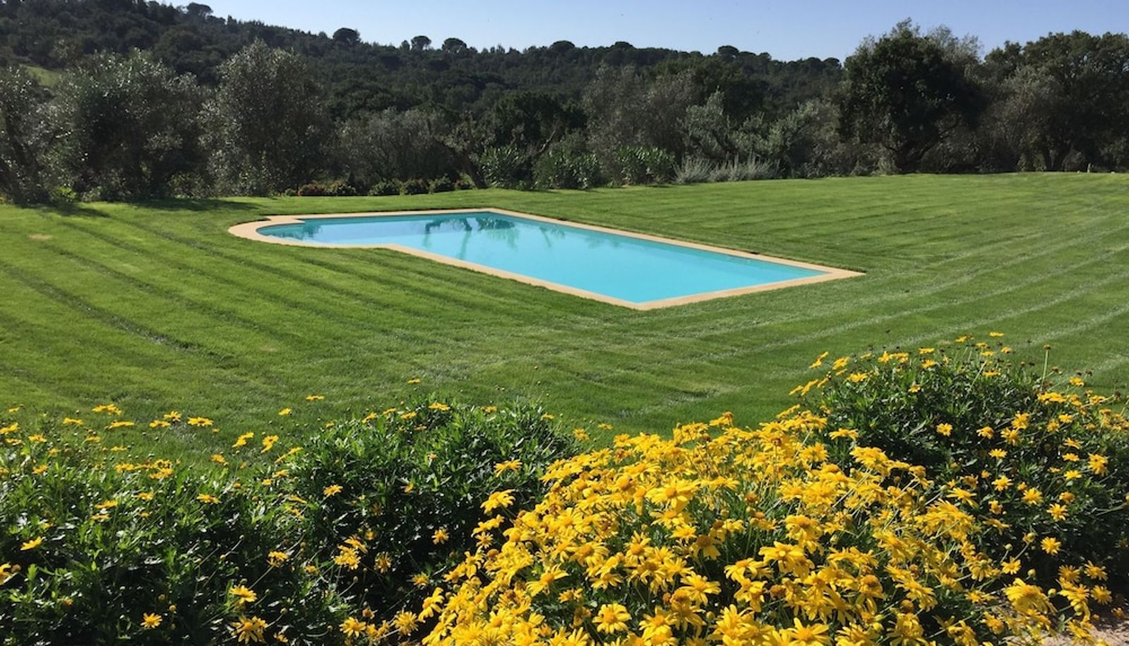Pool - Casa do Alfaro