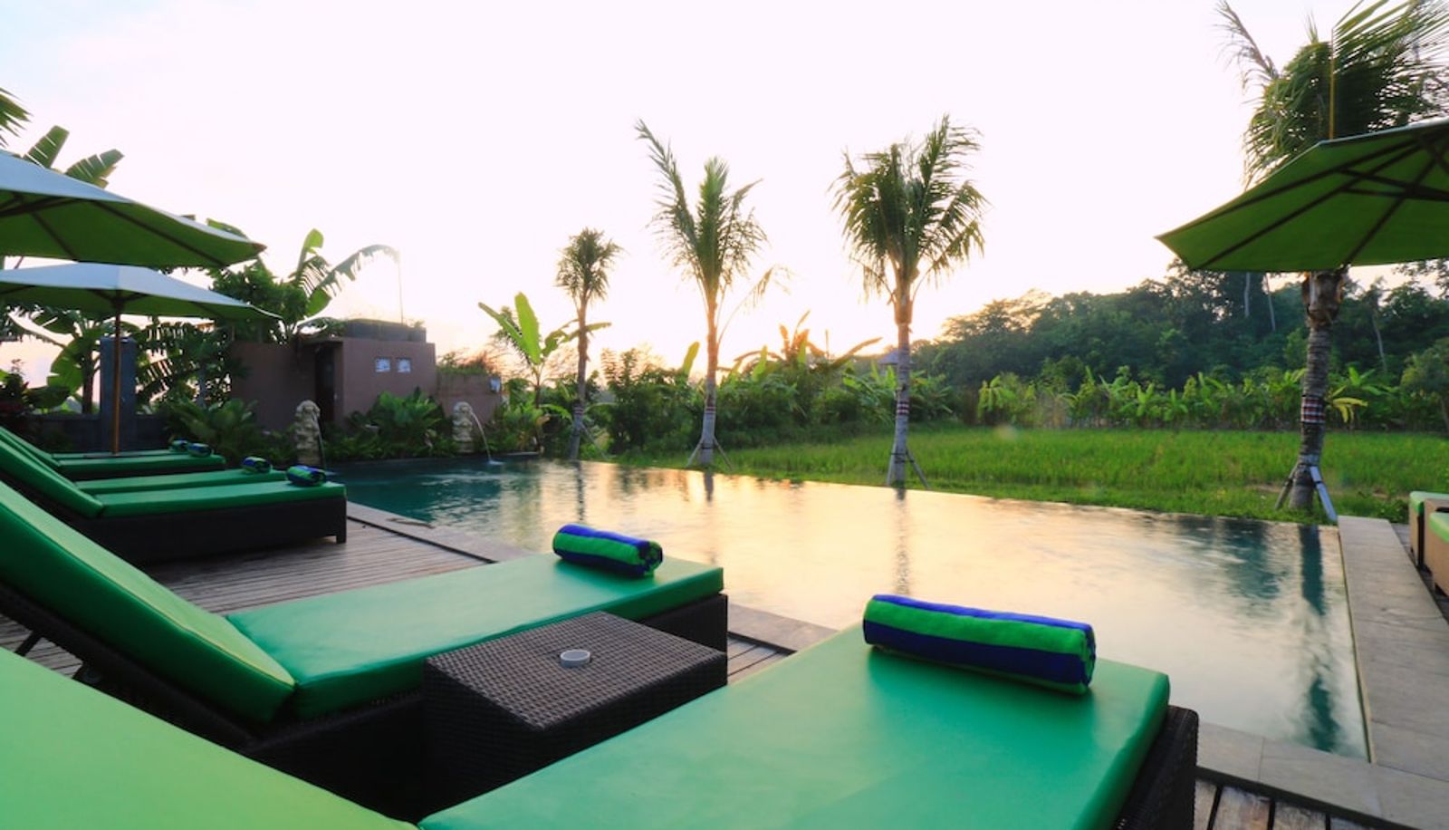 Pool - Ubud Tropical Garden