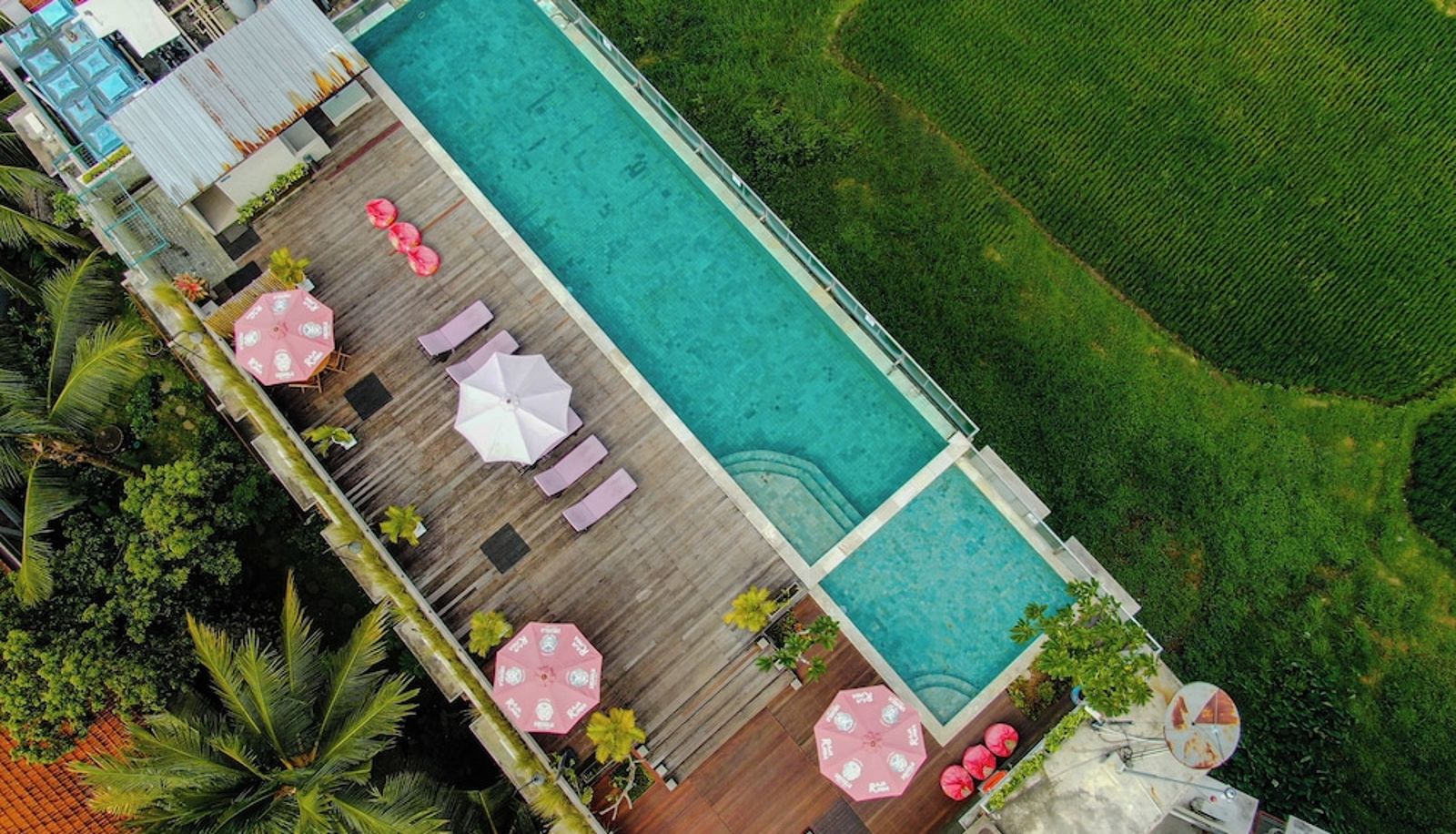 Pool - The Evitel Resort Ubud