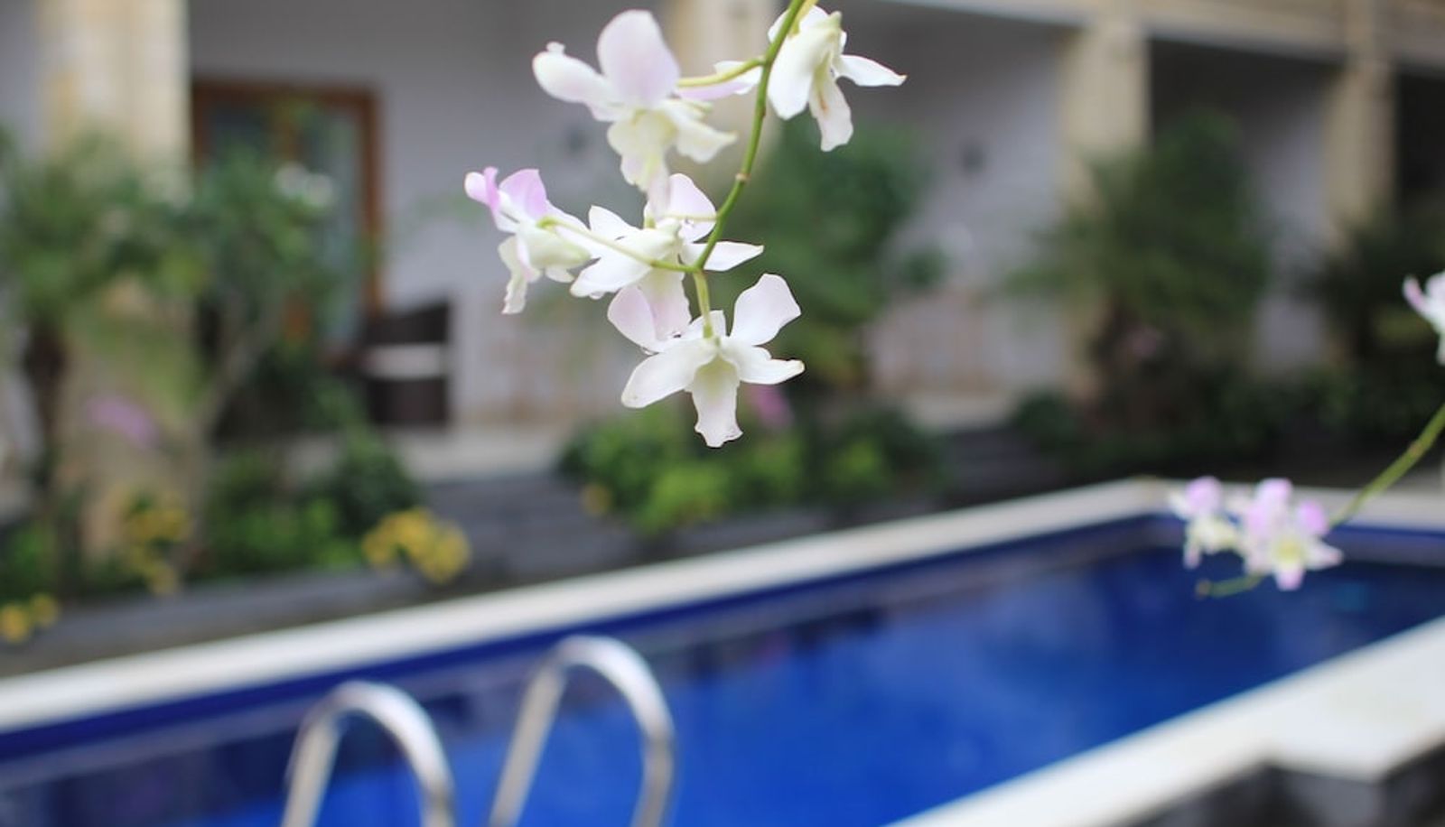 Piscina - The Kutaya