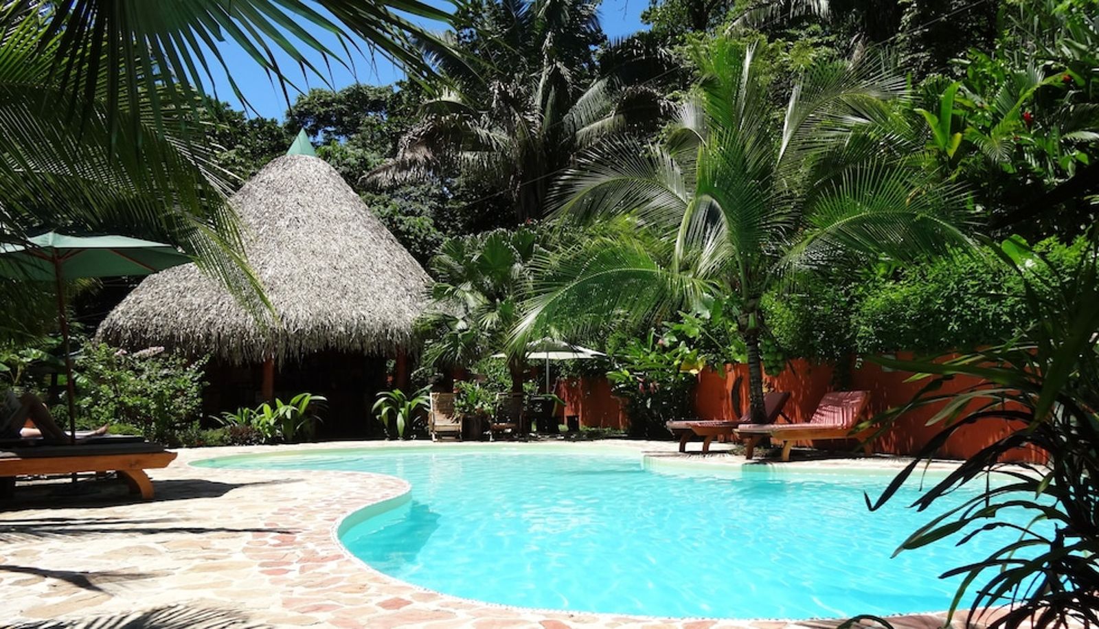 Piscina - Hotel El Pequeño Gecko Verde