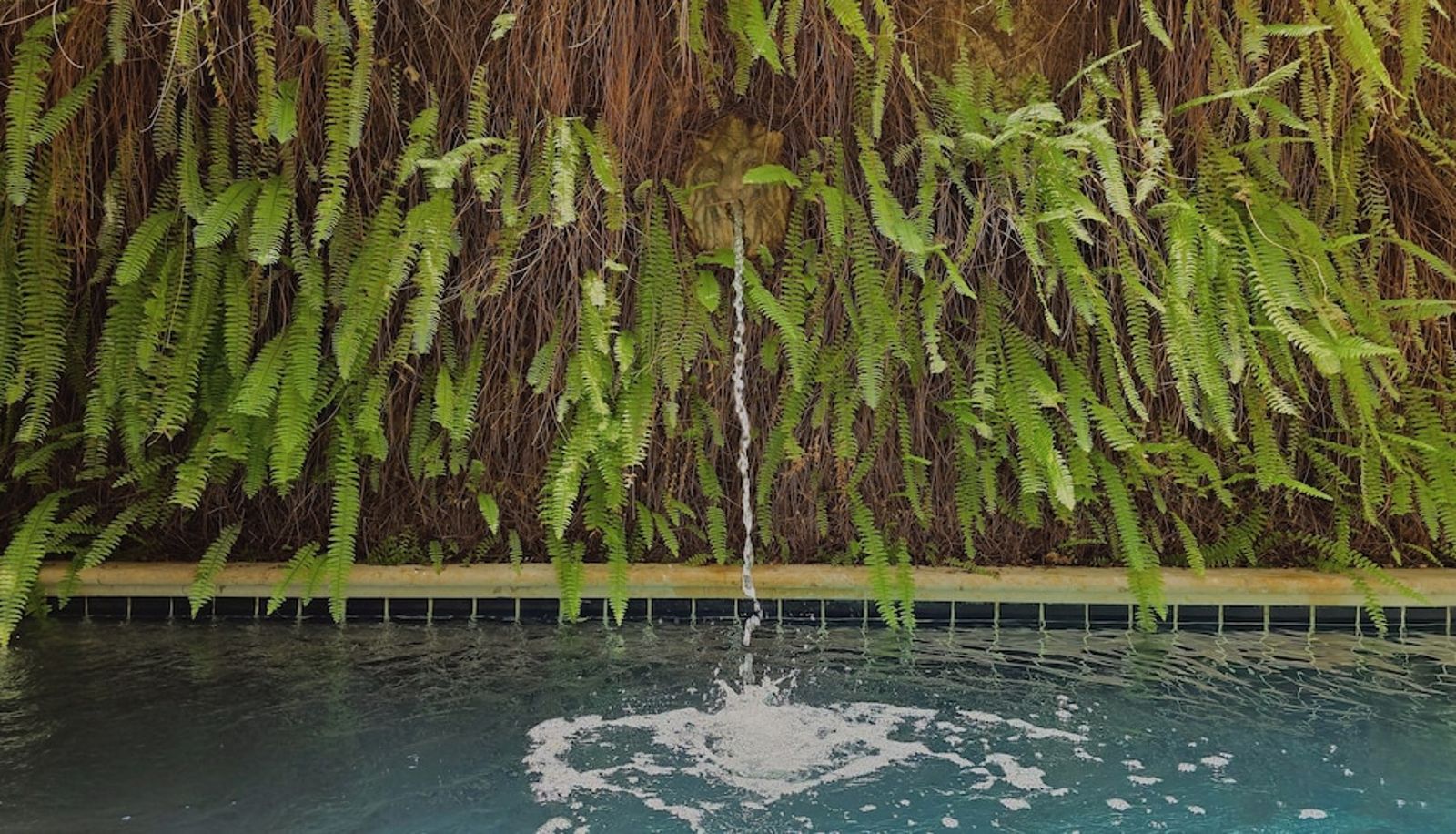 Piscine - Hotel Casa la Tablada