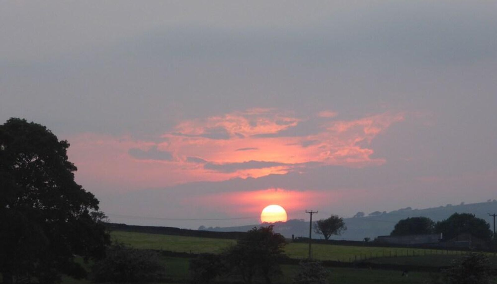 Info - Sunnyfield B&B