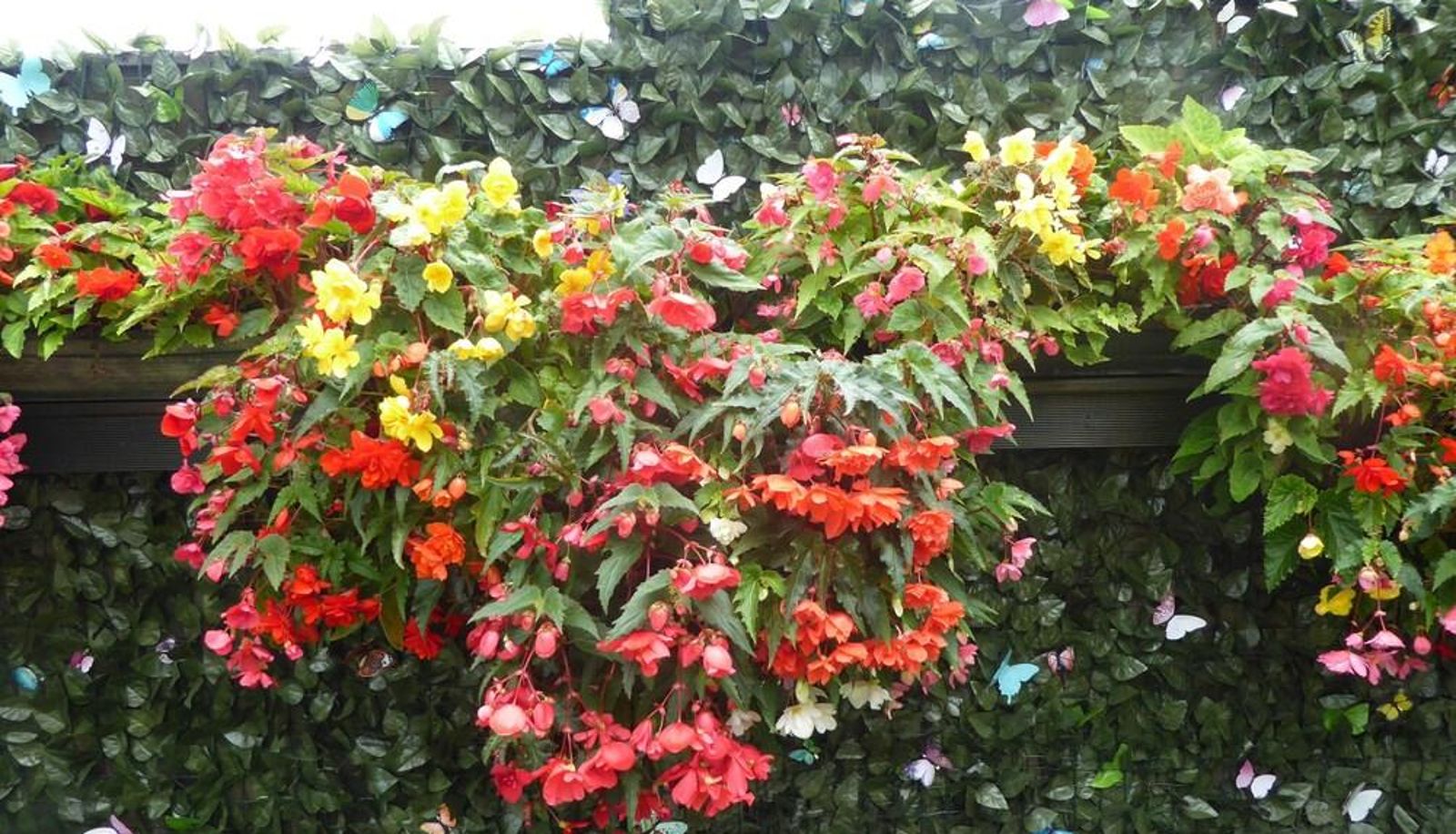 Dintorni - Sunnyfield B&B