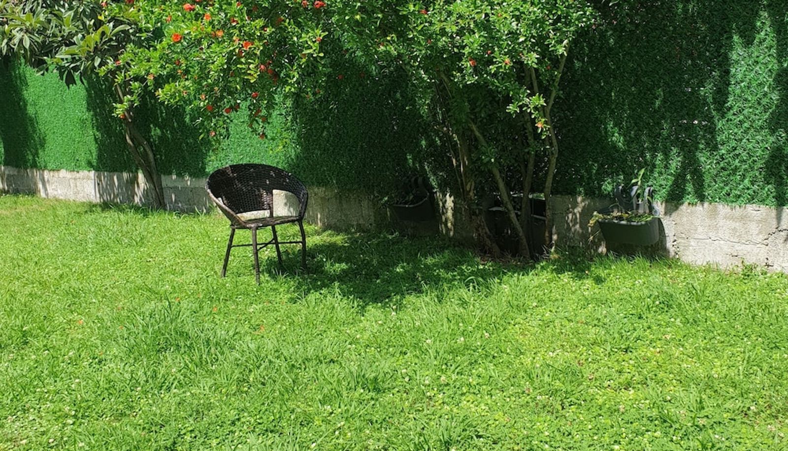 Garden - Hotel Leon