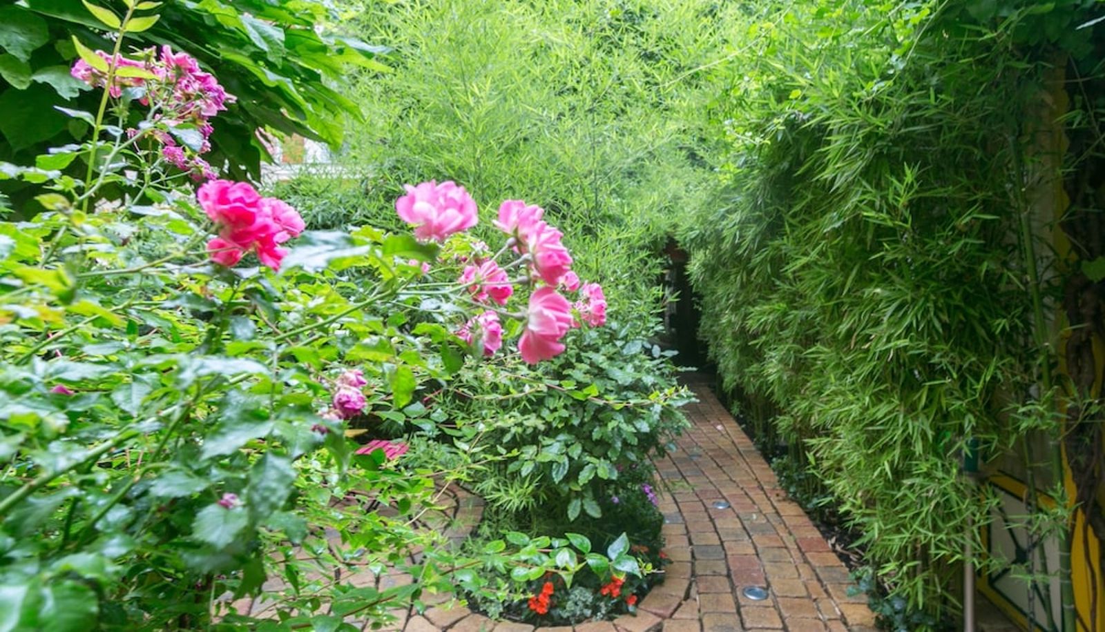 Jardin - Les Patios du Marais