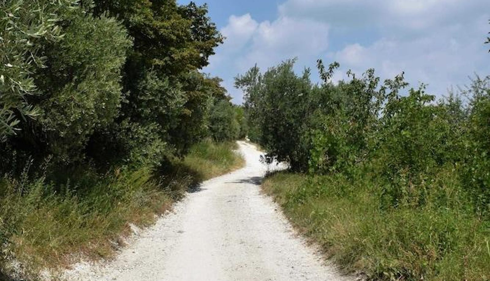 Umgebung - Agriturismo Borgo Valfredda