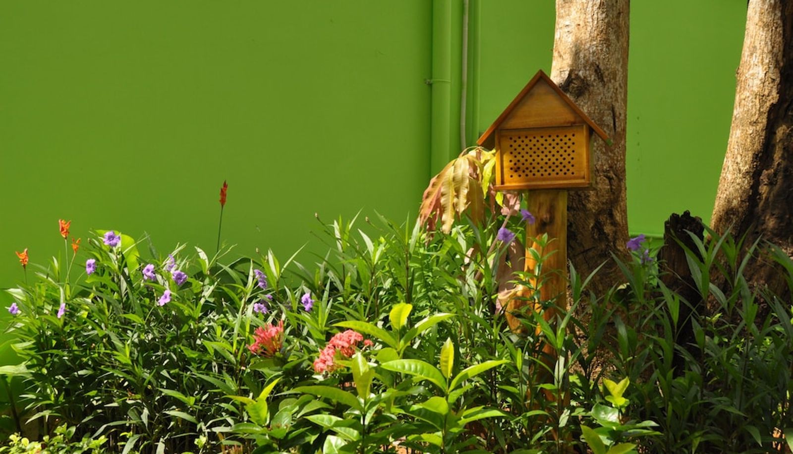 Garten - FORTUNE HOTEL 2 LUCKY STAY Phu Quoc