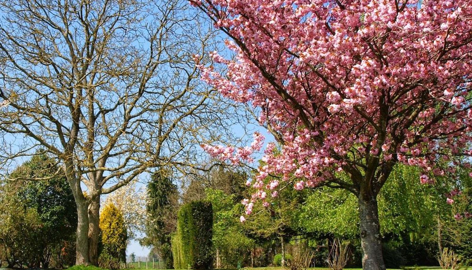 Umgebung - Normandy Getaways at Mis Harand
