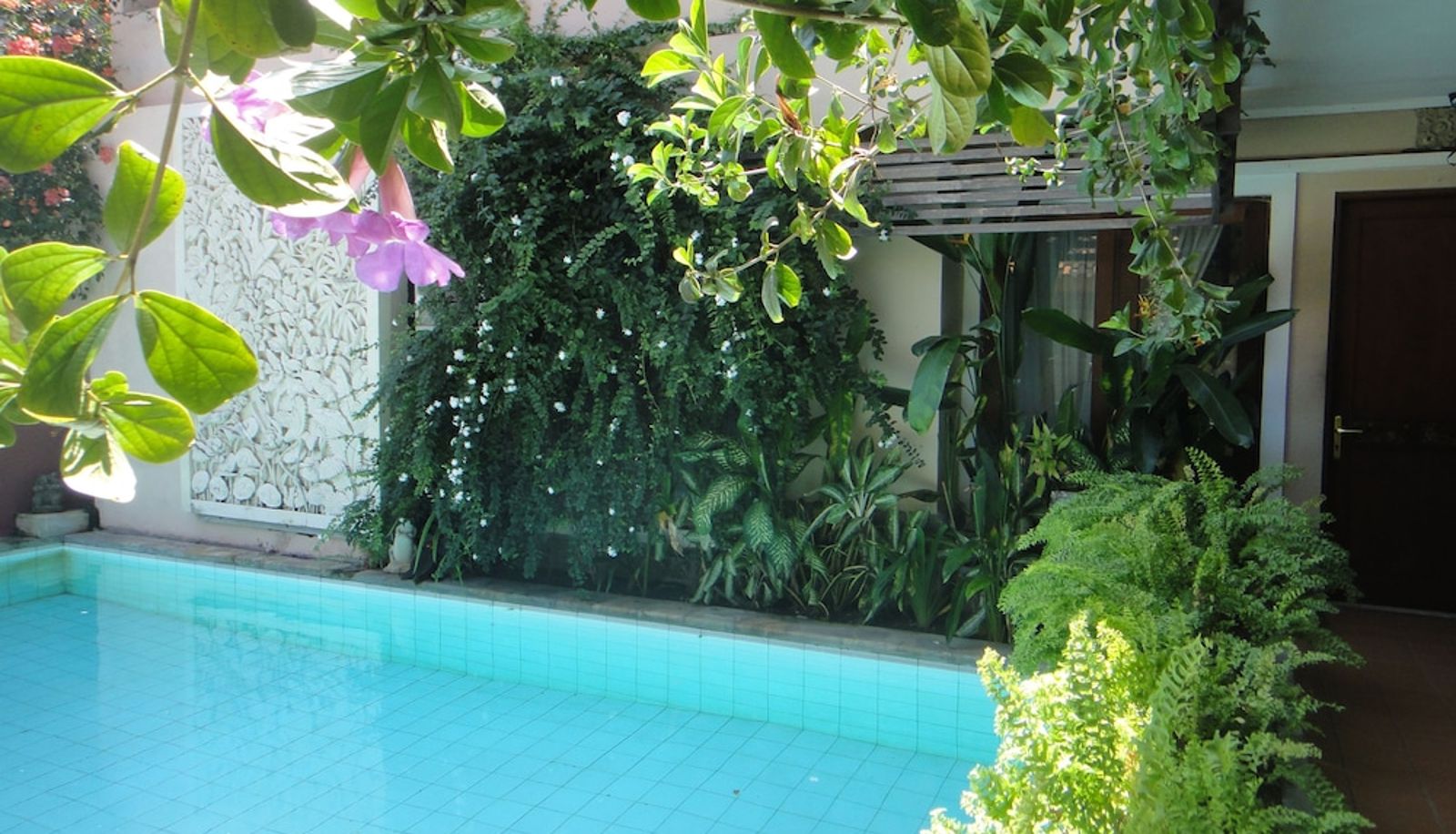 Basen - Balira Airport Hotel