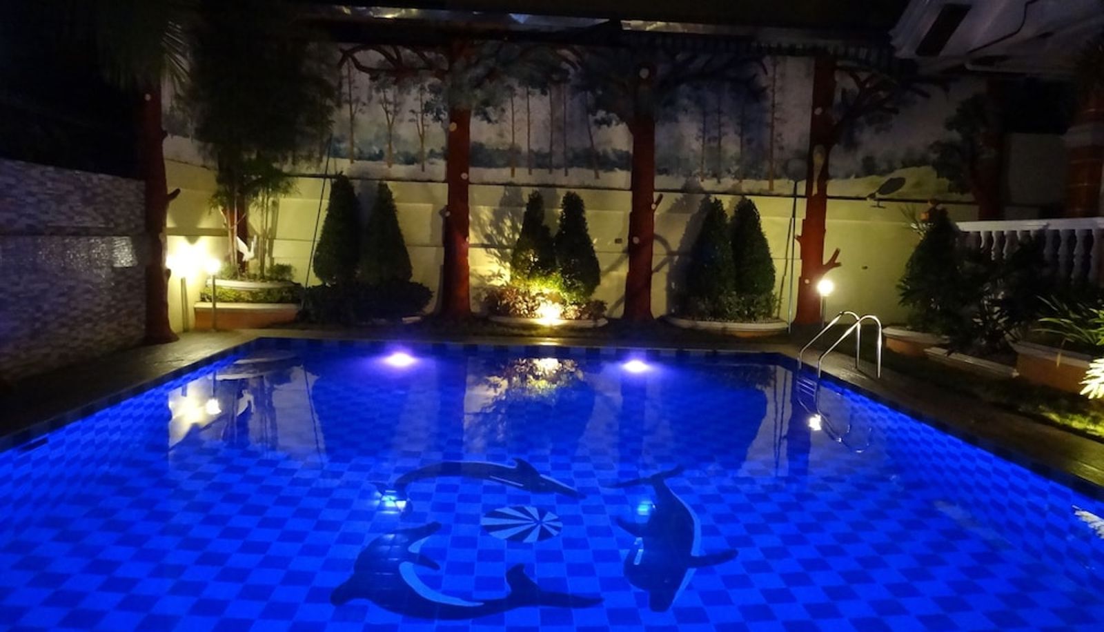 Pool - The Executive Villa Inn & Suites