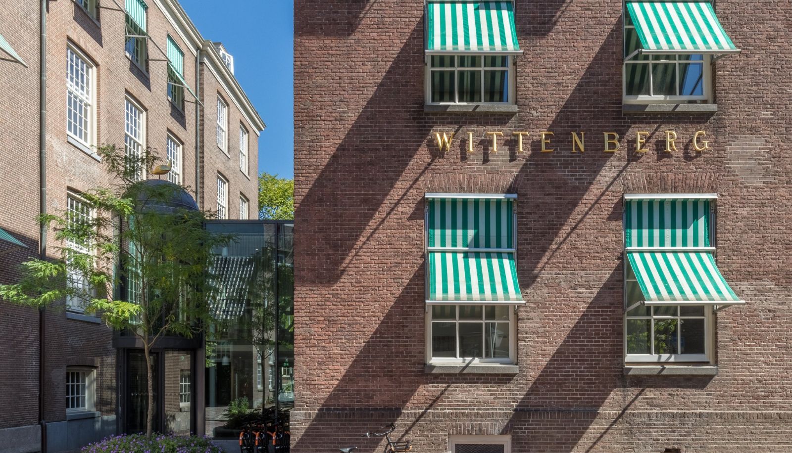 Info - Wittenberg by COVE