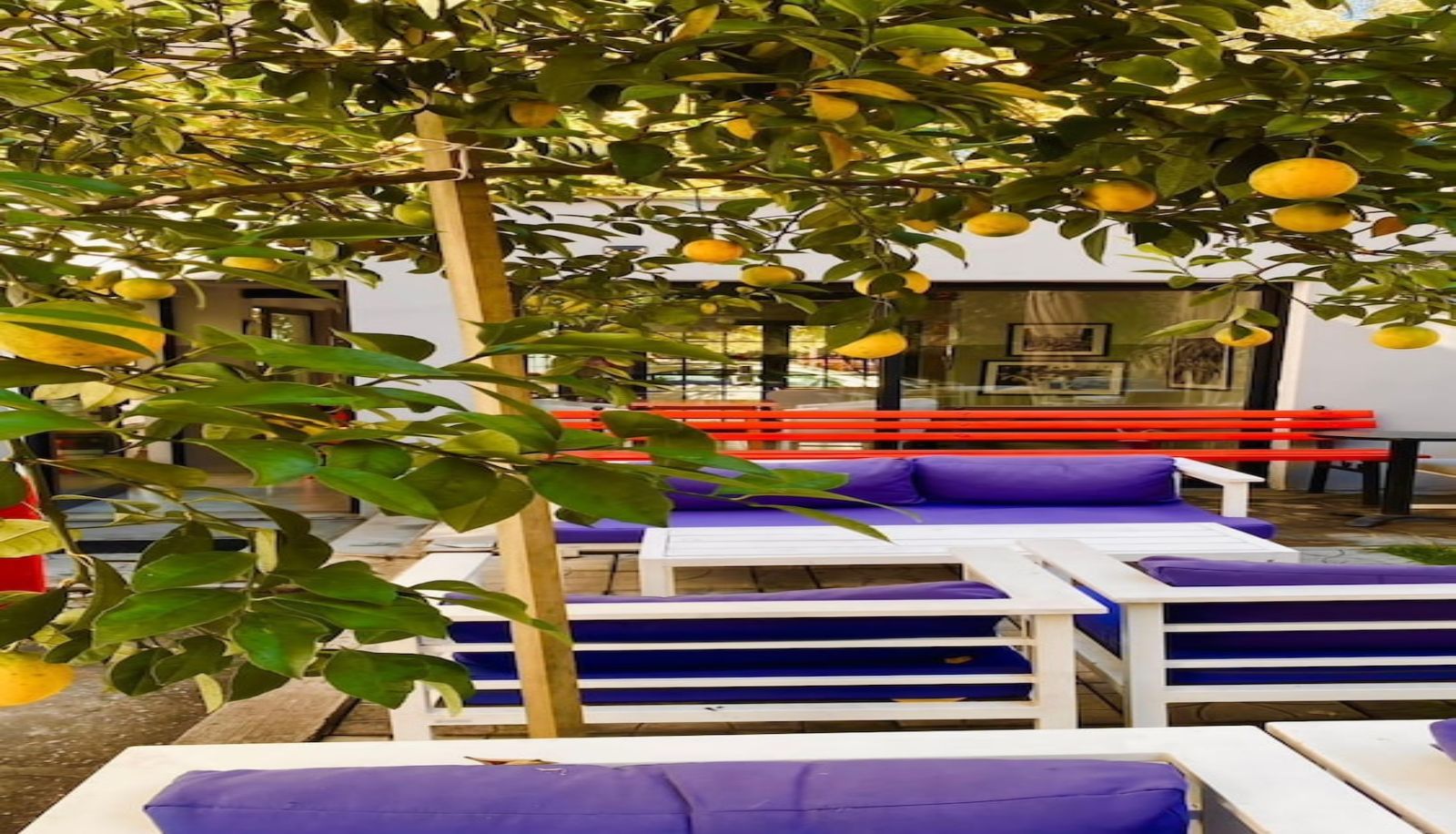 Jardín - Hotel Antigone