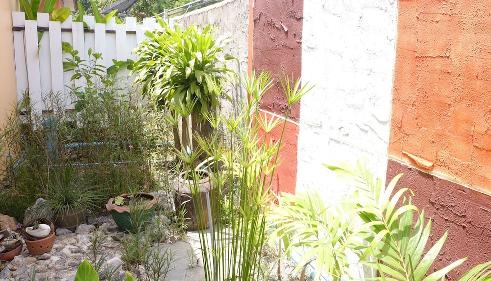 Tuin - Zenzine Resort