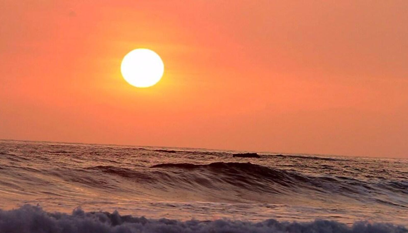 Plage - The Buena Vibra Collective