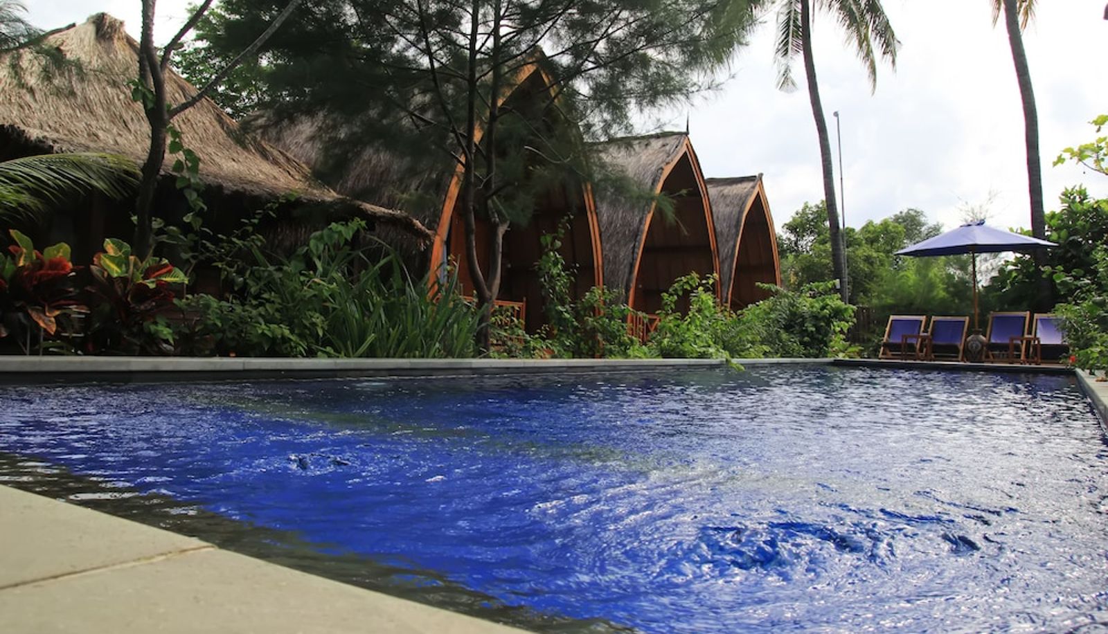 Pool - Damai Bungalows