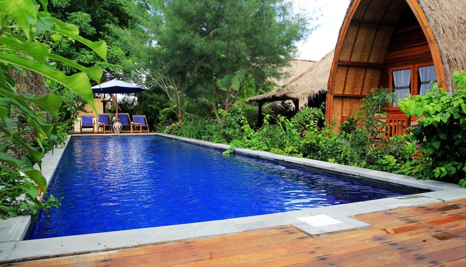Pool - Damai Bungalows