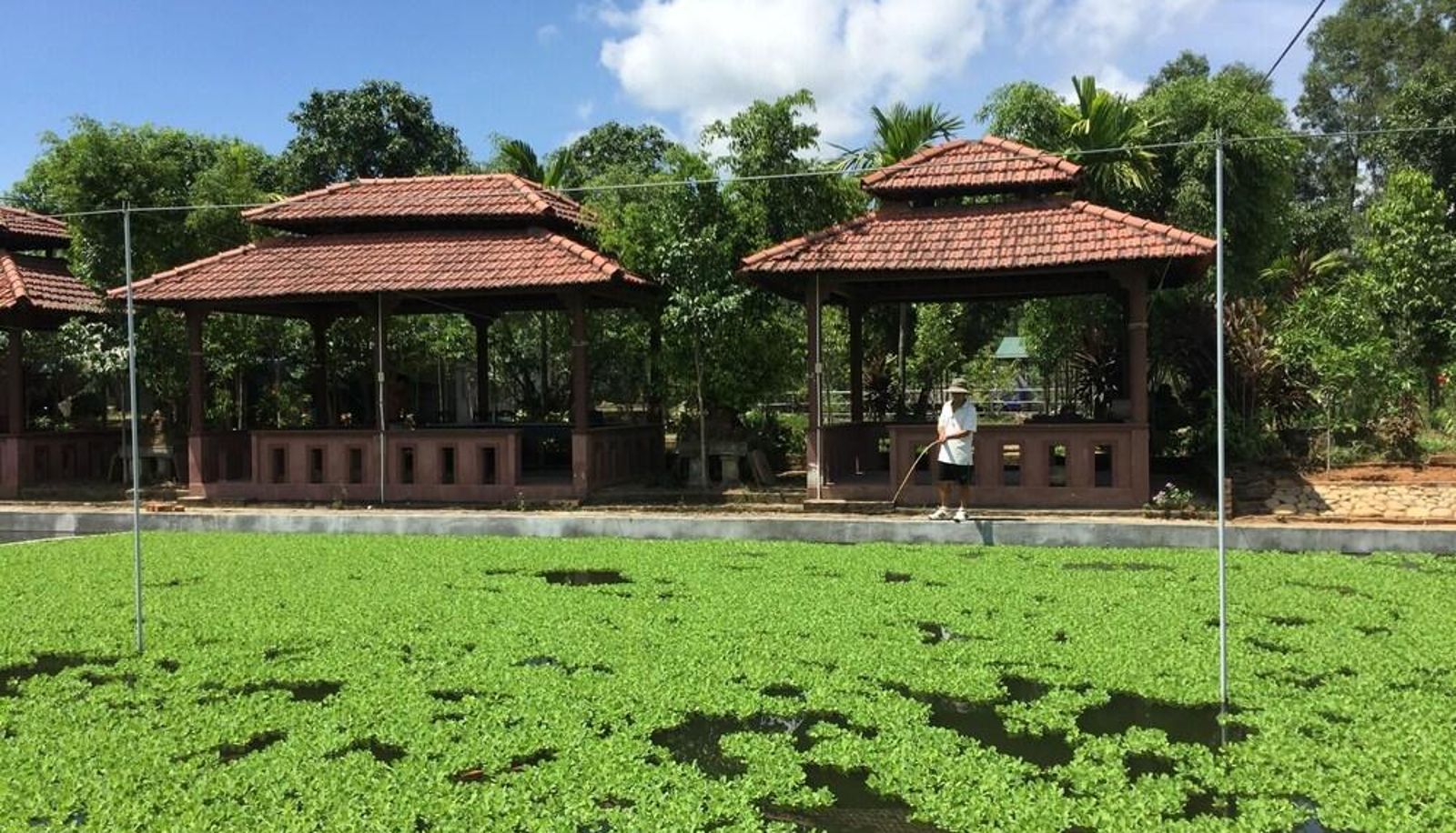 Pokój z widokiem na jezioro - Huong Tuan Farmstay
