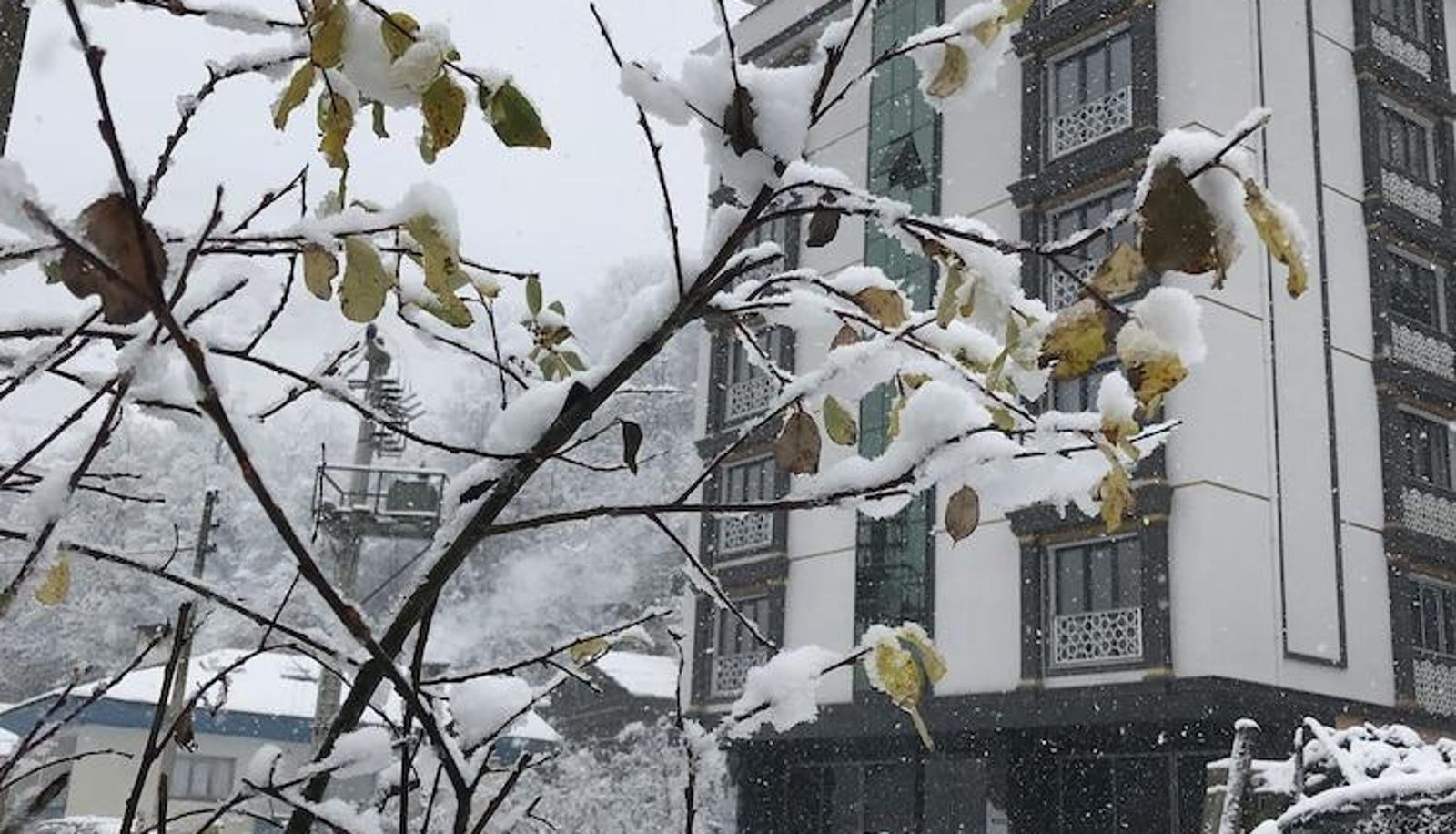Omgeving - Golden Inn Hotel Uzungol