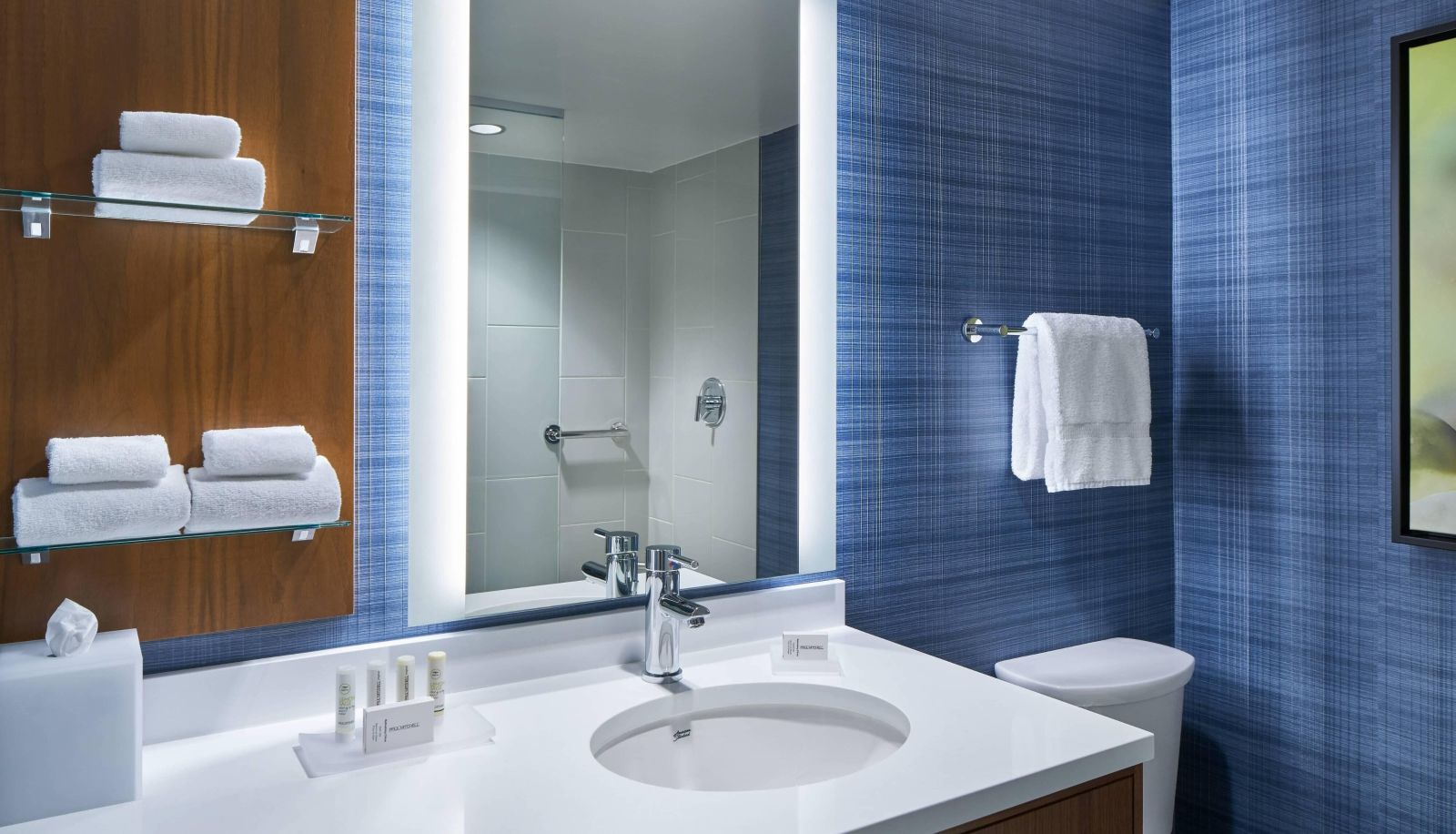 Zimmer - RESIDENCE INN WASHINGTON CONVENTION CTR