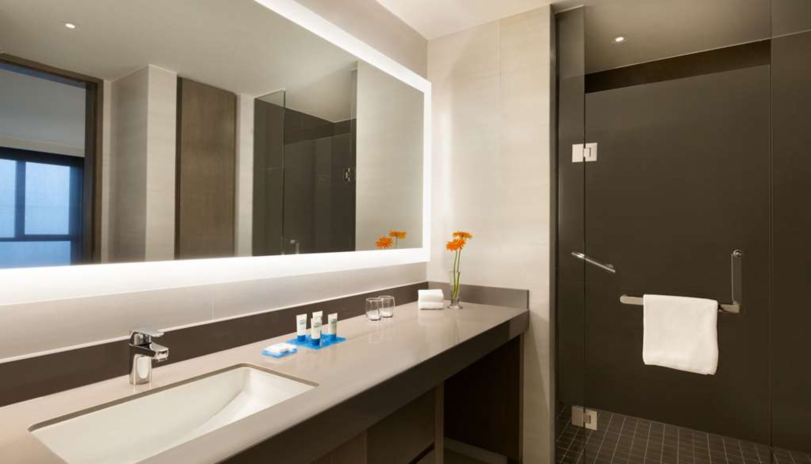 Zimmer - Hyatt House Shanghai New Hongqiao 嘉寓