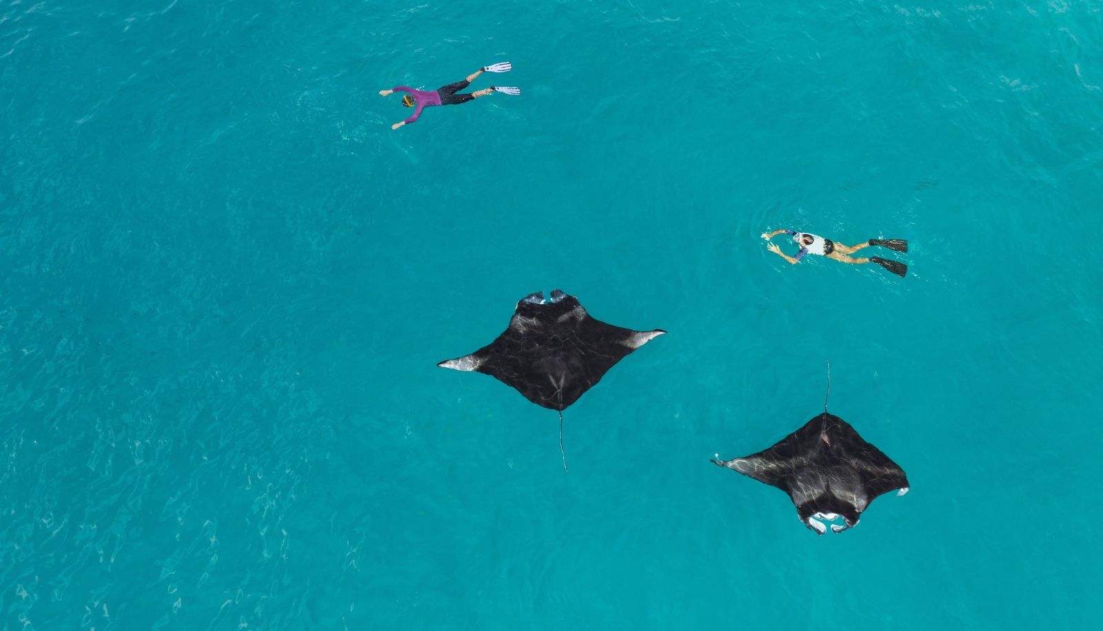 Info - The Westin Maldives Miriandhoo Resort