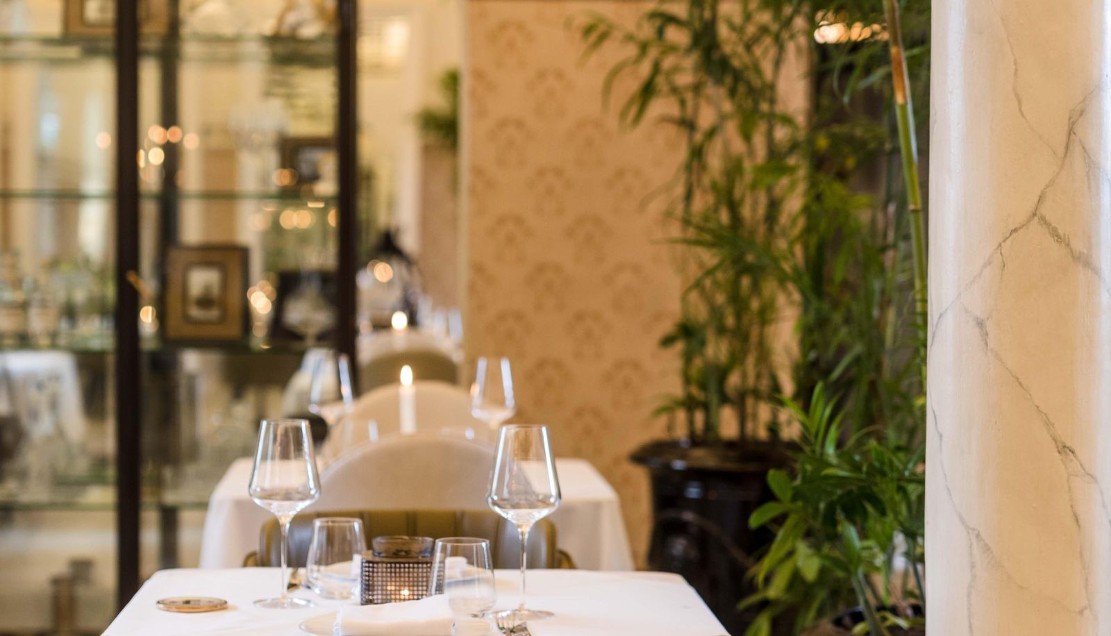 Hall - The Drisco Hotel