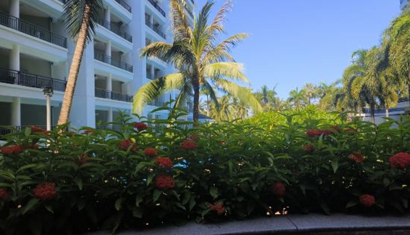 Receptie - Tianze Beach Resort
