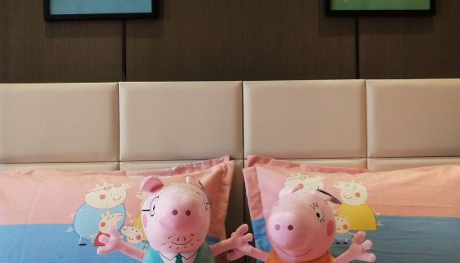Room - Central Hotel