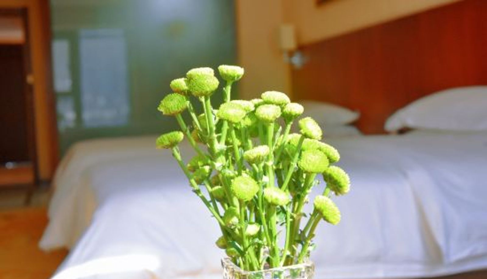 Chambre - Jindu Hotel
