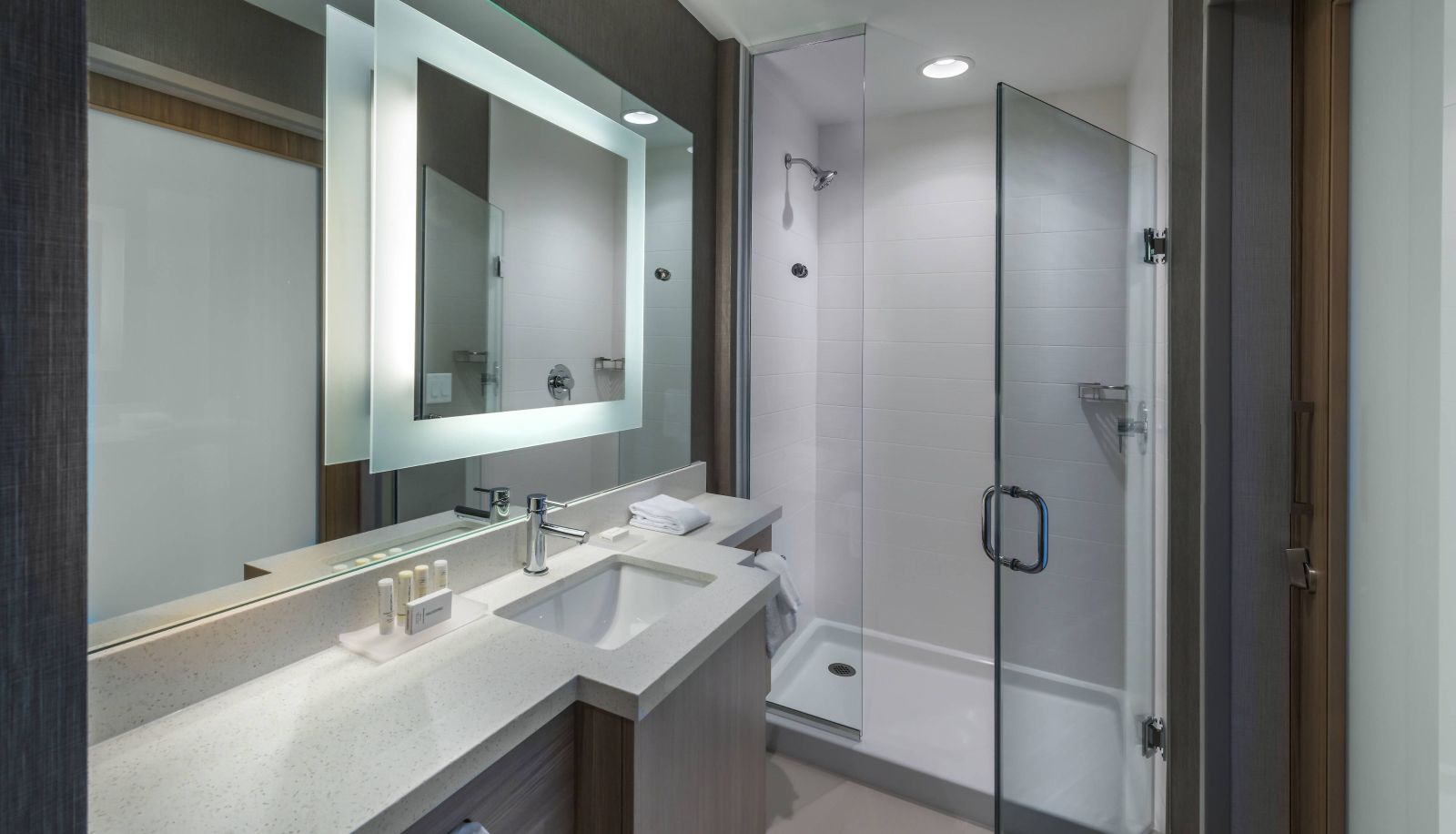 Zimmer - SpringHill Suites by Marriott Reno